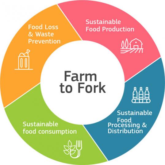 food_farm2fork_ring.jpg